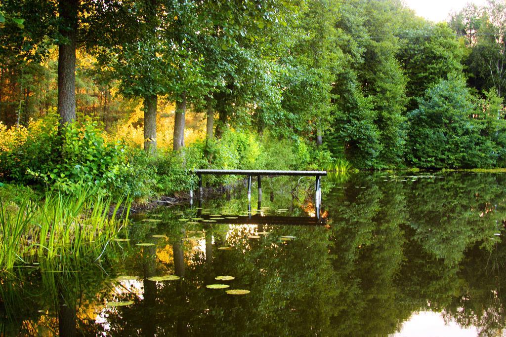 Hotel Niedzwiadek Wdzydze Kiszewskie Buitenkant foto